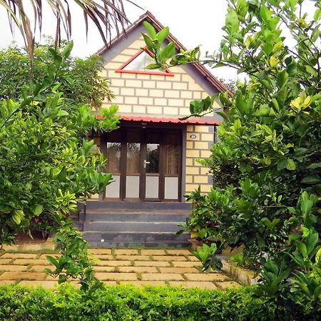 Wild Wadi Cottages Malanka Εξωτερικό φωτογραφία